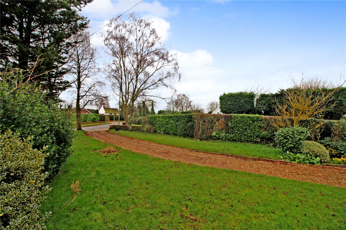 Driveway